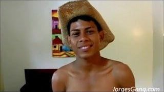 Ceaser 100% Macho From Columbia