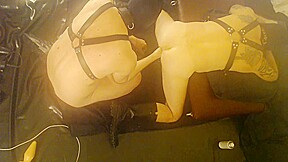 Gay Porn – Gierig Auf Dildosund Seine Hand 32 Min