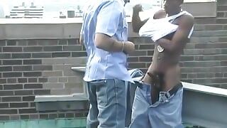 Horny dude offers to suck ebony dude’s BBC and get smashed outdoors