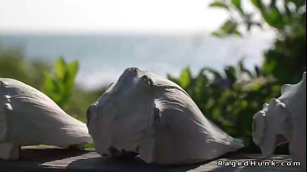 Muscle roommates rim and anal fuck in the beach house