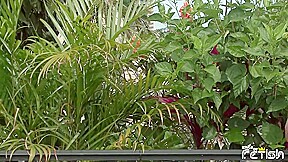 Twink guy sucks three men with big cocks outdoor and swallows cum