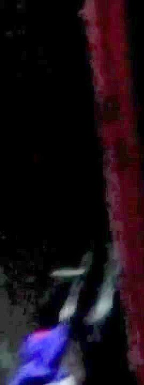 Slut fucked hard by Fabien in sling in Paris club – CrunchBoy