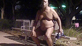 In The Park After Dark